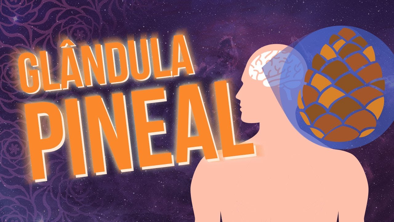 Glândula Pineal - Descubra Seu Terceiro Olho - Ativação do Terceiro Olho