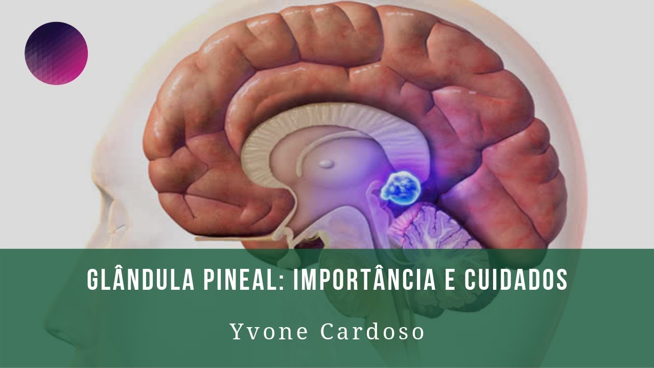 Importância e Cuidados da Glândula Pineal - Ativação do Terceiro Olho