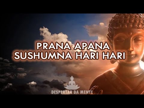 Mantra Prana Apana Sushumna Hari Para Cura Mágica, Equilíbrio e Harmonia - Ativação do Terceiro Olho