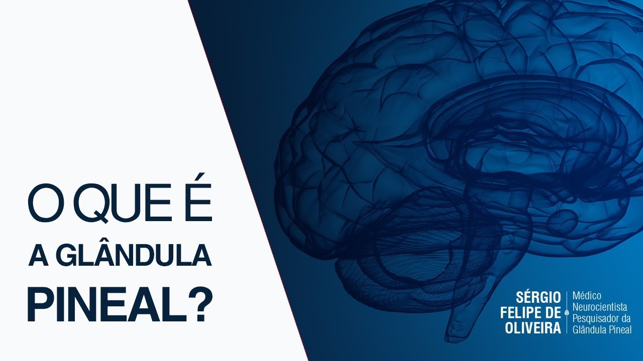 O Que é a Glândula Pineal? - Chakra Frontal - Ativação do Terceiro Olho