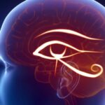 Como Ativar Sua Glândula Pineal e Criar Efeitos Psicodélicos - Ativação do Terceiro Olho