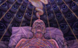 Qual o Verdadeiro Objetivo da Glândula Pineal? - Ativação do Terceiro Olho